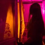 देह व्यापार गिरोह का पर्दाफाश, नाबालिग को बंधक बनाकर किया जा रहा था शोषण