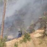 हर साल धधक रहे जंगल, आग बुझाने को आज भी ‘हरी टहनियों’ का सहारा: पर्यावरण प्रेमी चंदन नयाल