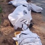 ब्रेकिंग न्यूज़ ! नैनीताल में दर्दनाक हादसा: गहरी खाई में गिरी ई-कार, पांचों सवारों की मौत