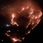 नैनीताल के जंगलों में धधकी भीषण आग, मनोरा रेंज का बड़ा हिस्सा चपेट में
