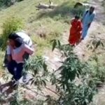 पहाड़ की पीड़ा : उत्तराखंड में बीमार बेटे को पीठ पर लादकर 5 किमी खड़ी चढ़ाई चढ़ा पिता, सड़क न होने से छलका ग्रामीणों का दर्द
