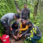 सावन में प्रकृति संरक्षण का संदेश: डीएसबी परिसर के मिशन ग्रीन अभियान के तहत हुआ पौधारोपण