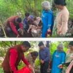 कुमाऊं विश्वविद्यालय में मिशन ग्रीन के तहत पौधारोपण, पर्यावरण संरक्षण का दिया संदेश