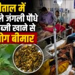 ब्रेकिंग न्यूज़ : नैनीताल में नशीले जंगली पौधे की सब्जी खाने से 8 लोग बीमार