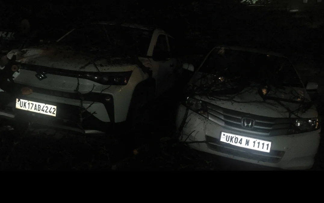 नैनीताल  : उच्च न्यायालय के समीप कार पार्किंग में गिरा पेड़, तीन वाहन क्षतिग्रस्त; बड़ा हादसा टला